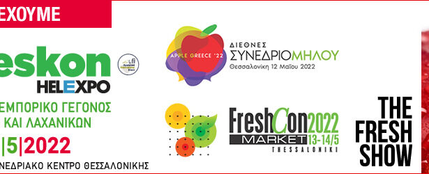 we-participate-freskon-970x250-el